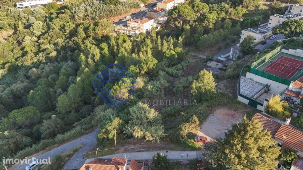 ### Terreno  em Santo António dos Olivais: Oportunidade Única de Inves - Grande imagem: 5/11