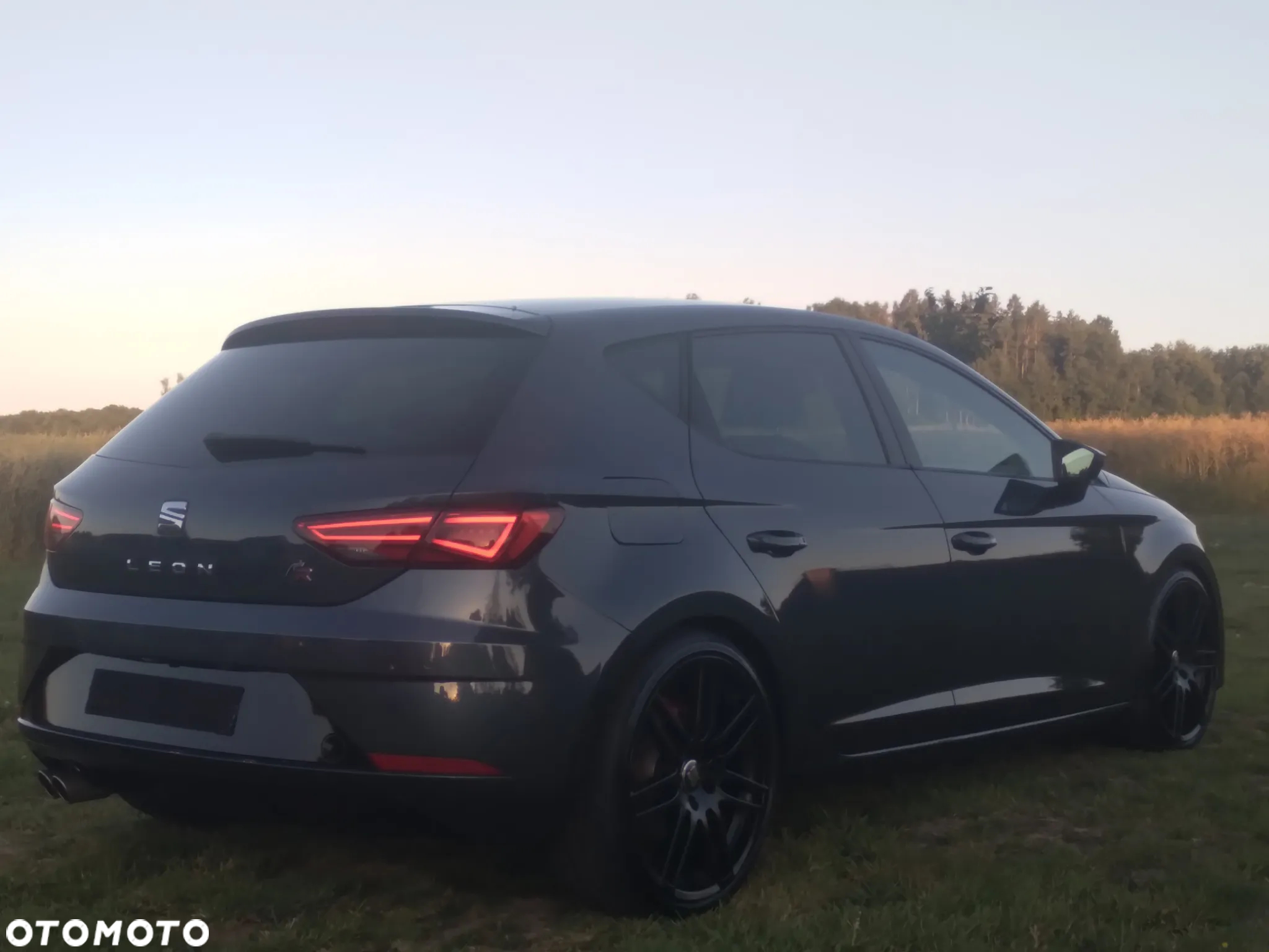 Seat Leon - 7