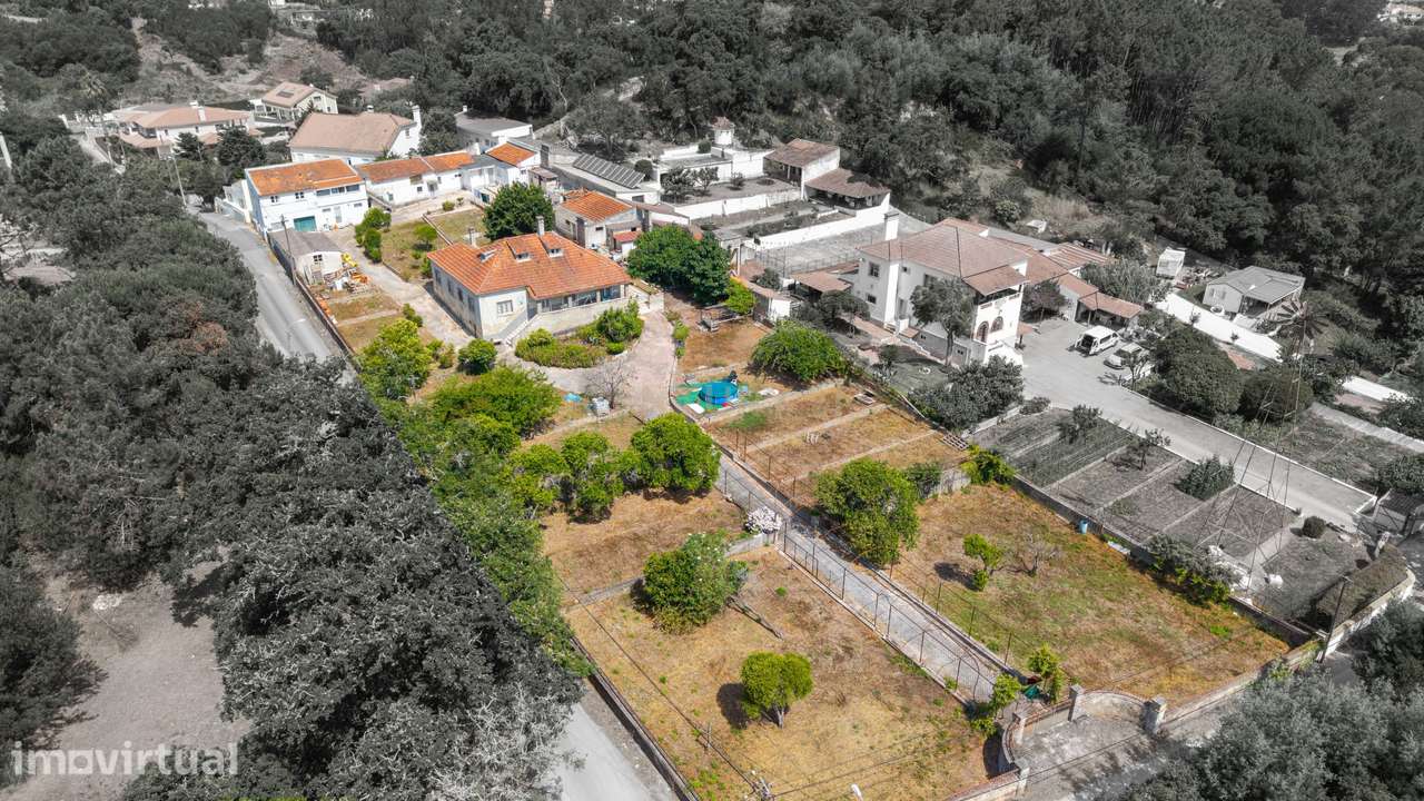 Moradia com Terreno 3400m2 - Quinta das Papoilas – Algueirão - Mem Mar - Grande imagem: 2/11