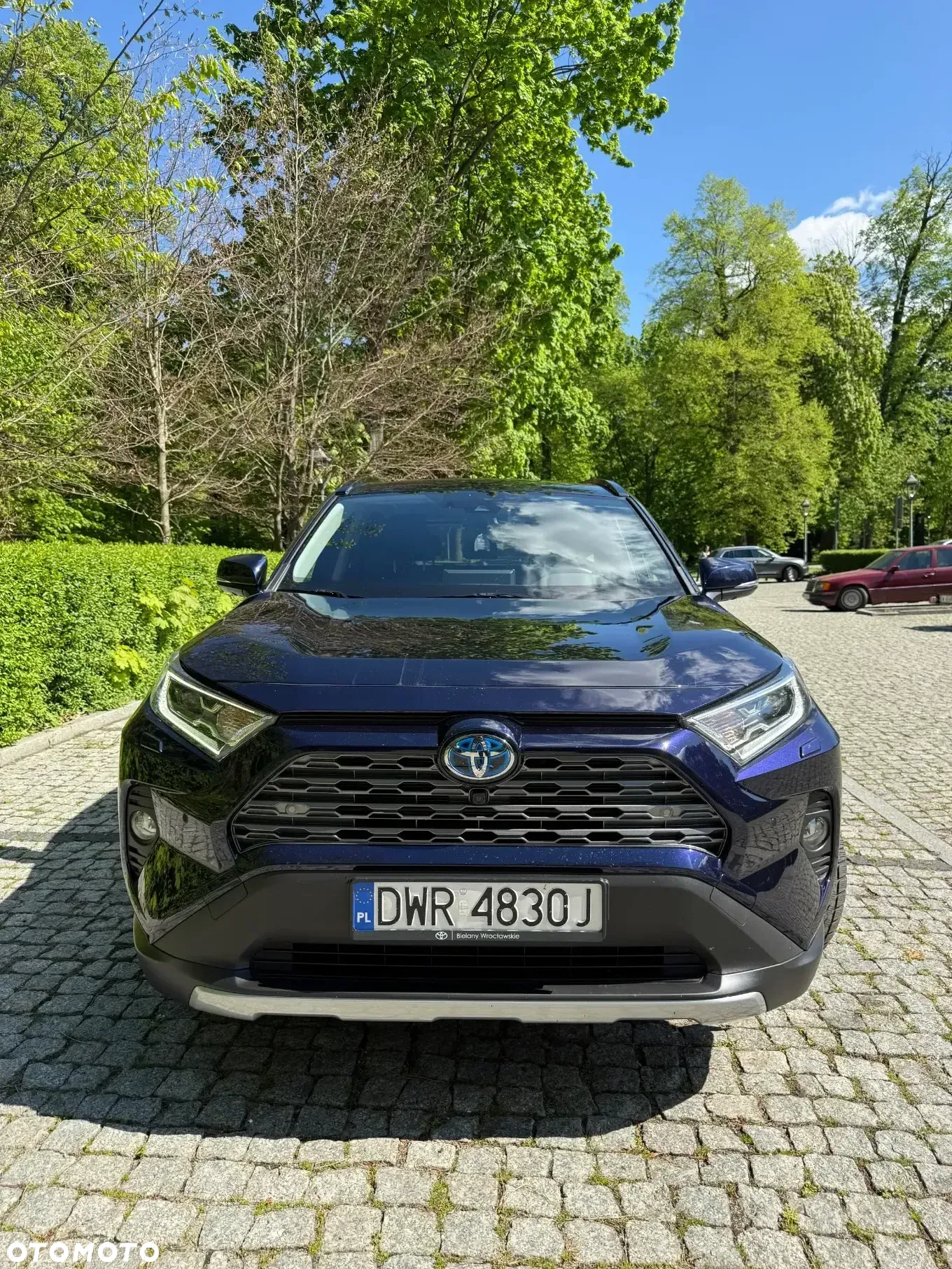 Toyota RAV4 2.5 Hybrid Executive 4x2 - 8