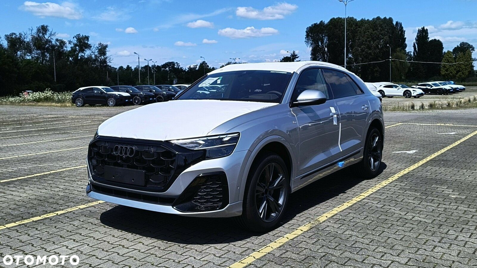 Audi Q8 - 5