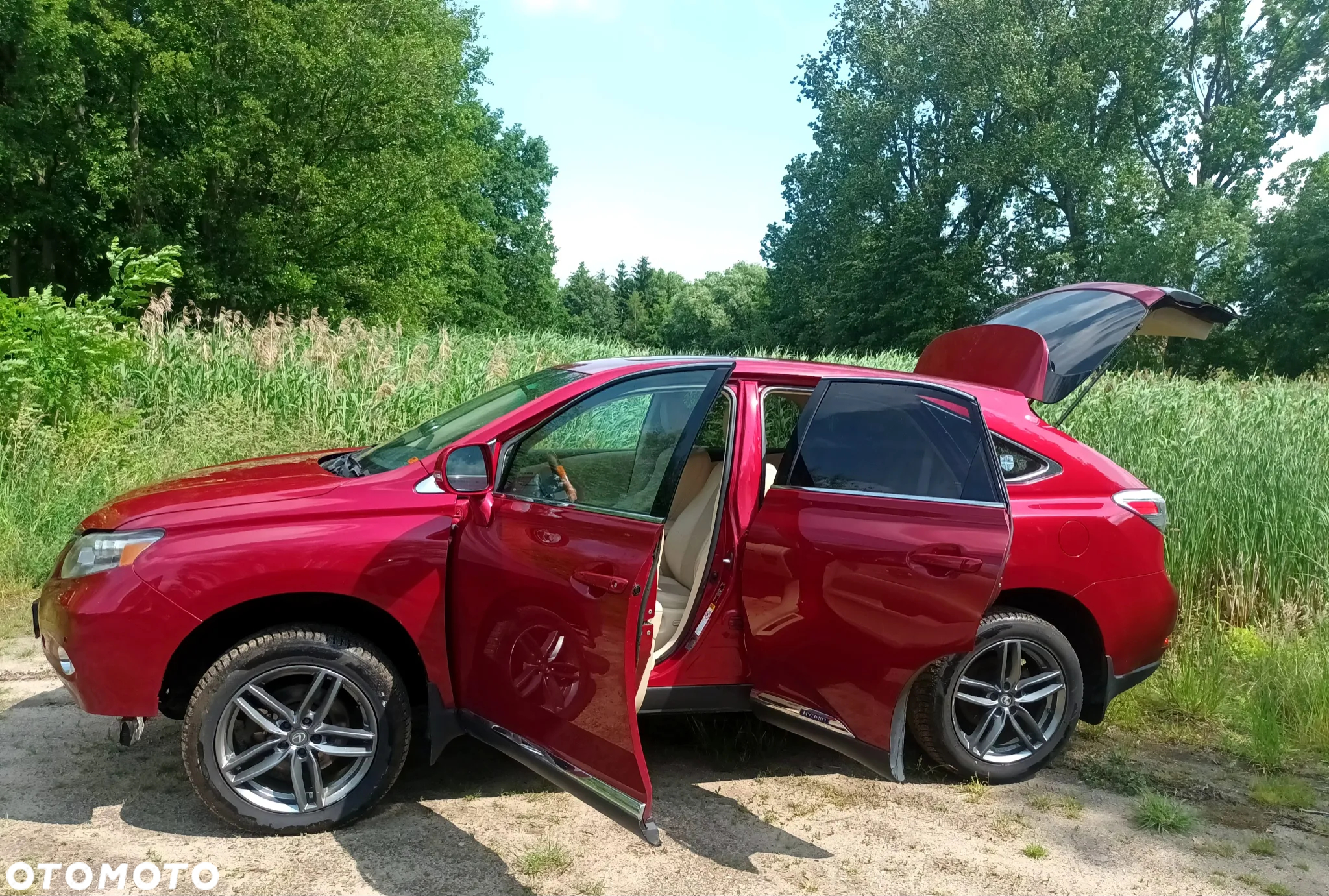 Lexus RX 450h (hybrid) Executive Line - 34