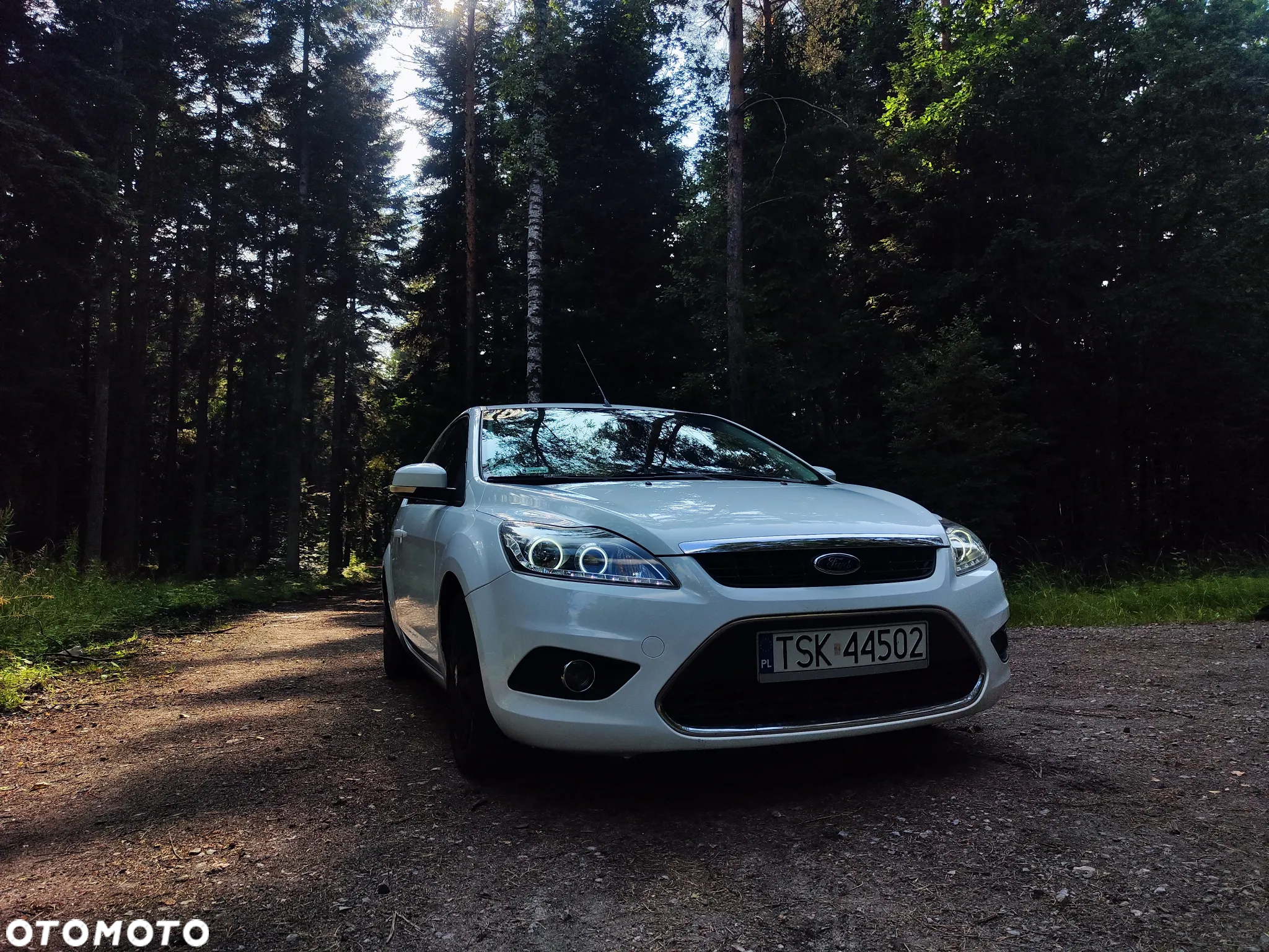 Ford Focus - 16