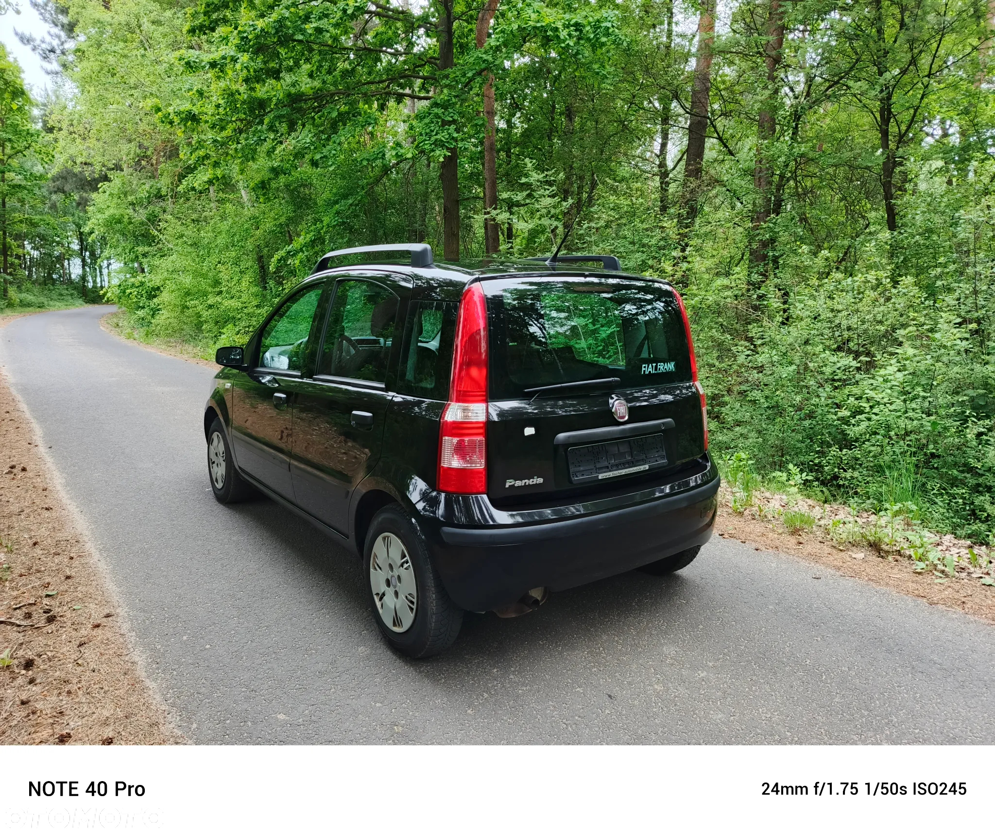 Fiat Panda 1.2 Dynamic Plus - 11