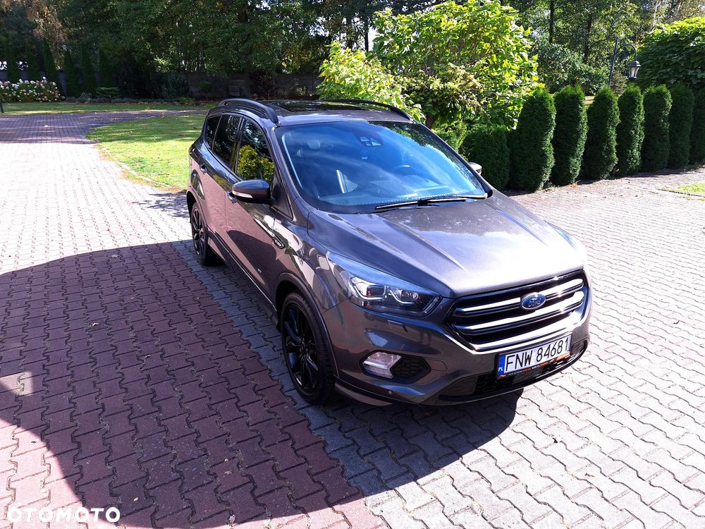 Ford Kuga 2.0 EcoBoost AWD ST-Line ASS - 2