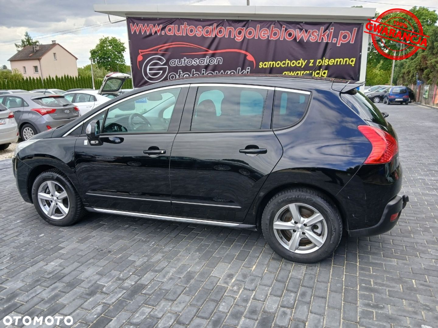 Peugeot 3008 - 17