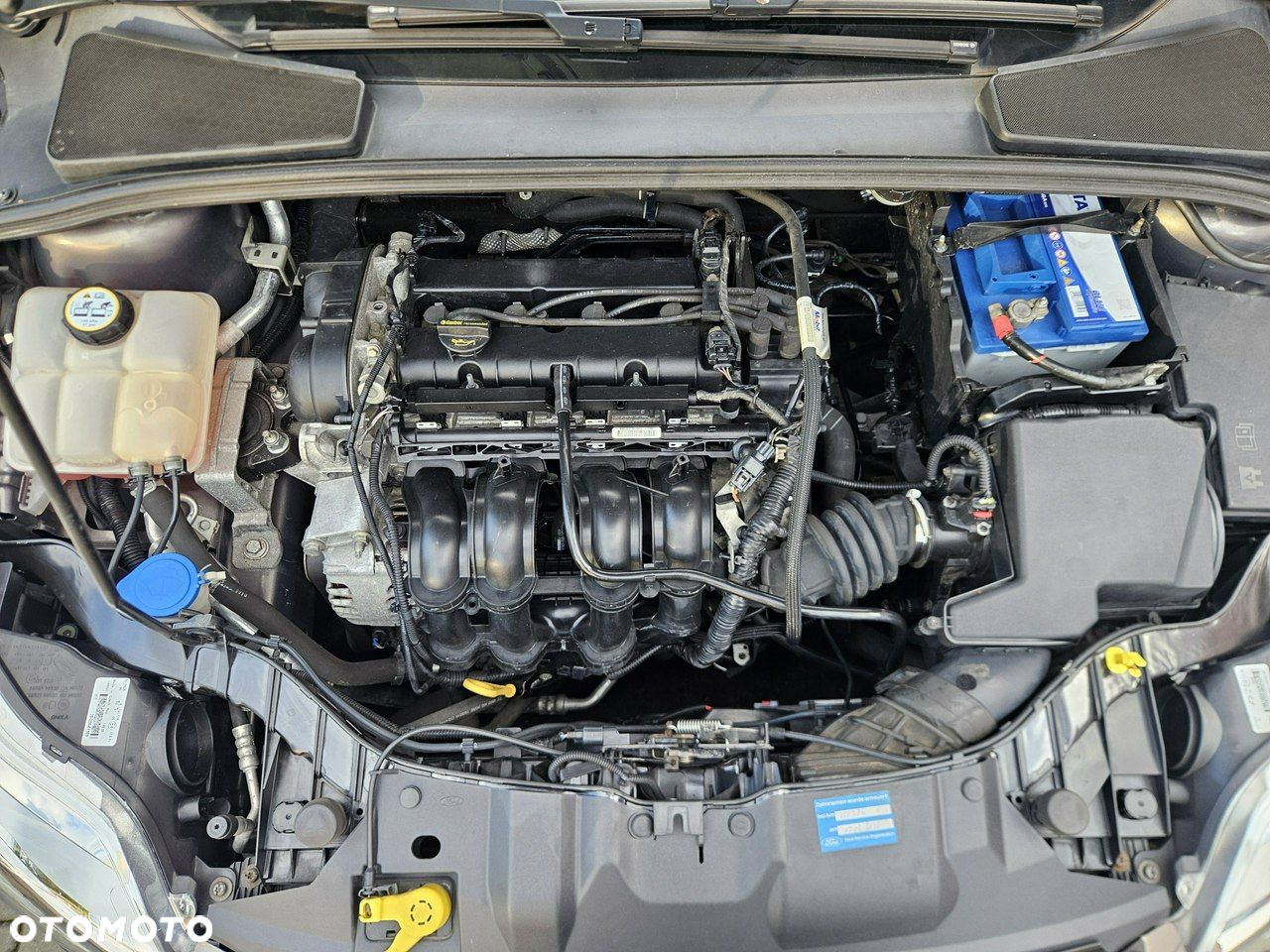 Ford Focus - 31