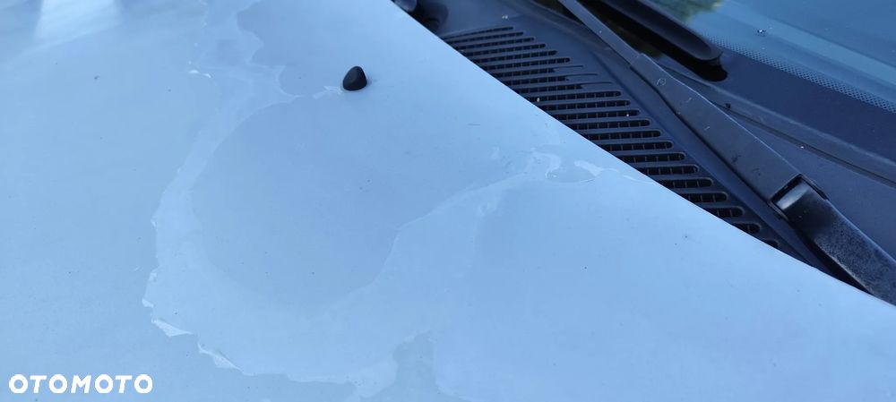 Renault Clio - 12