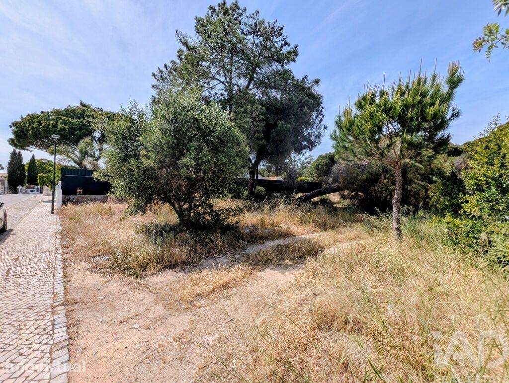 Terreno para construção em Almancil de 805,00 m2 - Grande imagem: 5/7