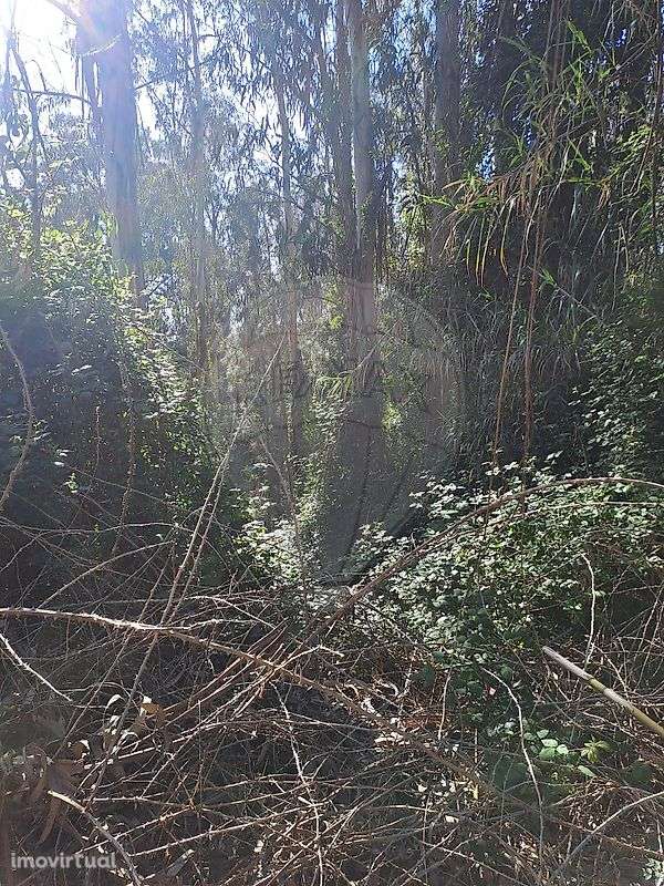 Terreno  para venda - Grande imagem: 2/3