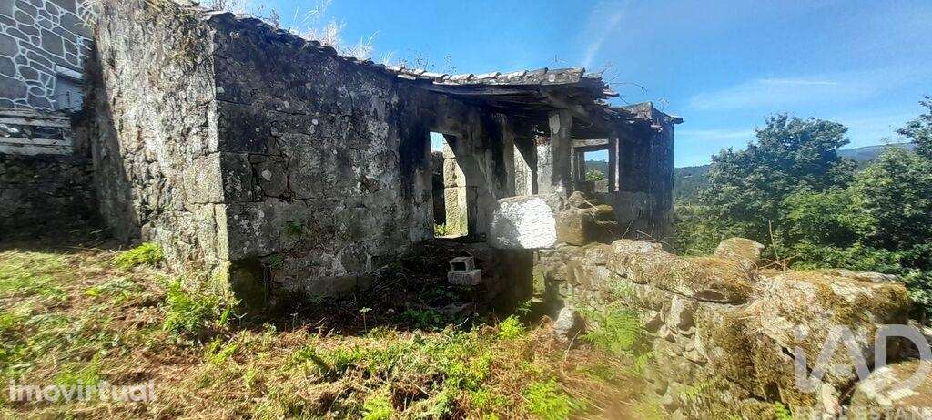 Casa / Villa T3 em Fontoura de 3100,00 m2 - Grande imagem: 3/30