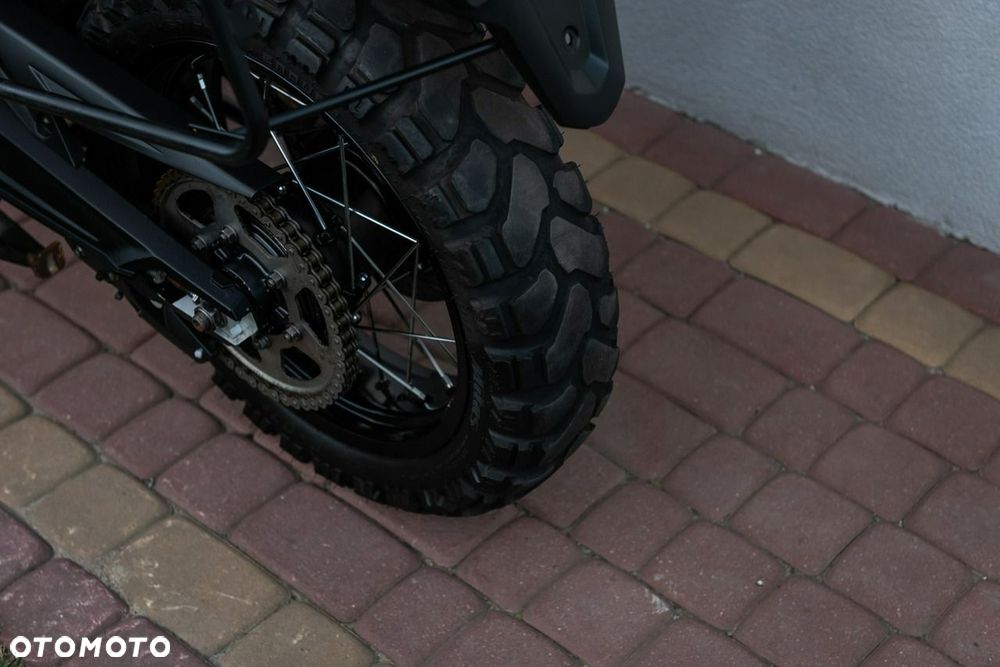 Triumph Tiger - 13