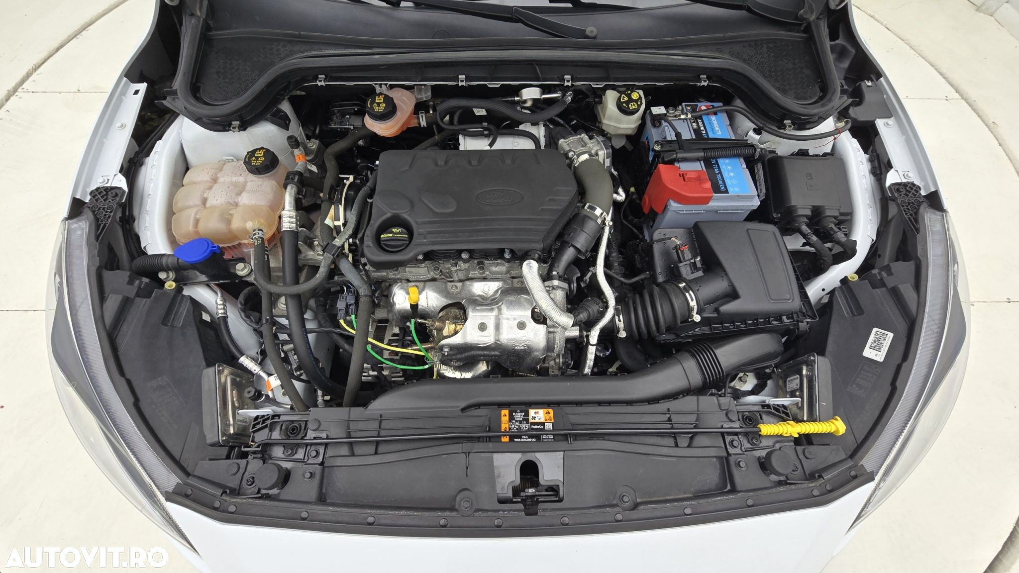 Ford Focus 1.5 EcoBlue Trend Edition - 24