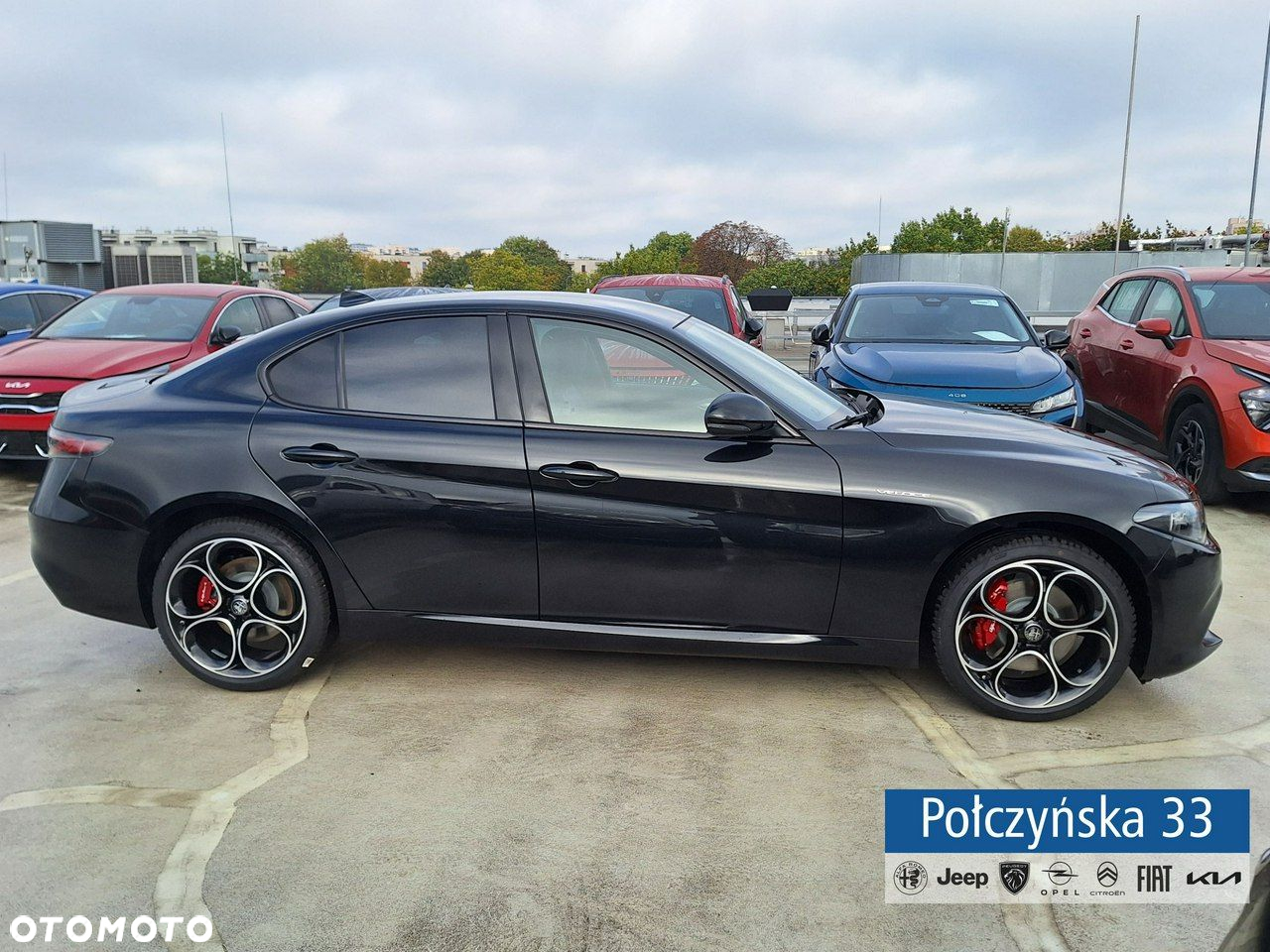 Alfa Romeo Giulia - 5