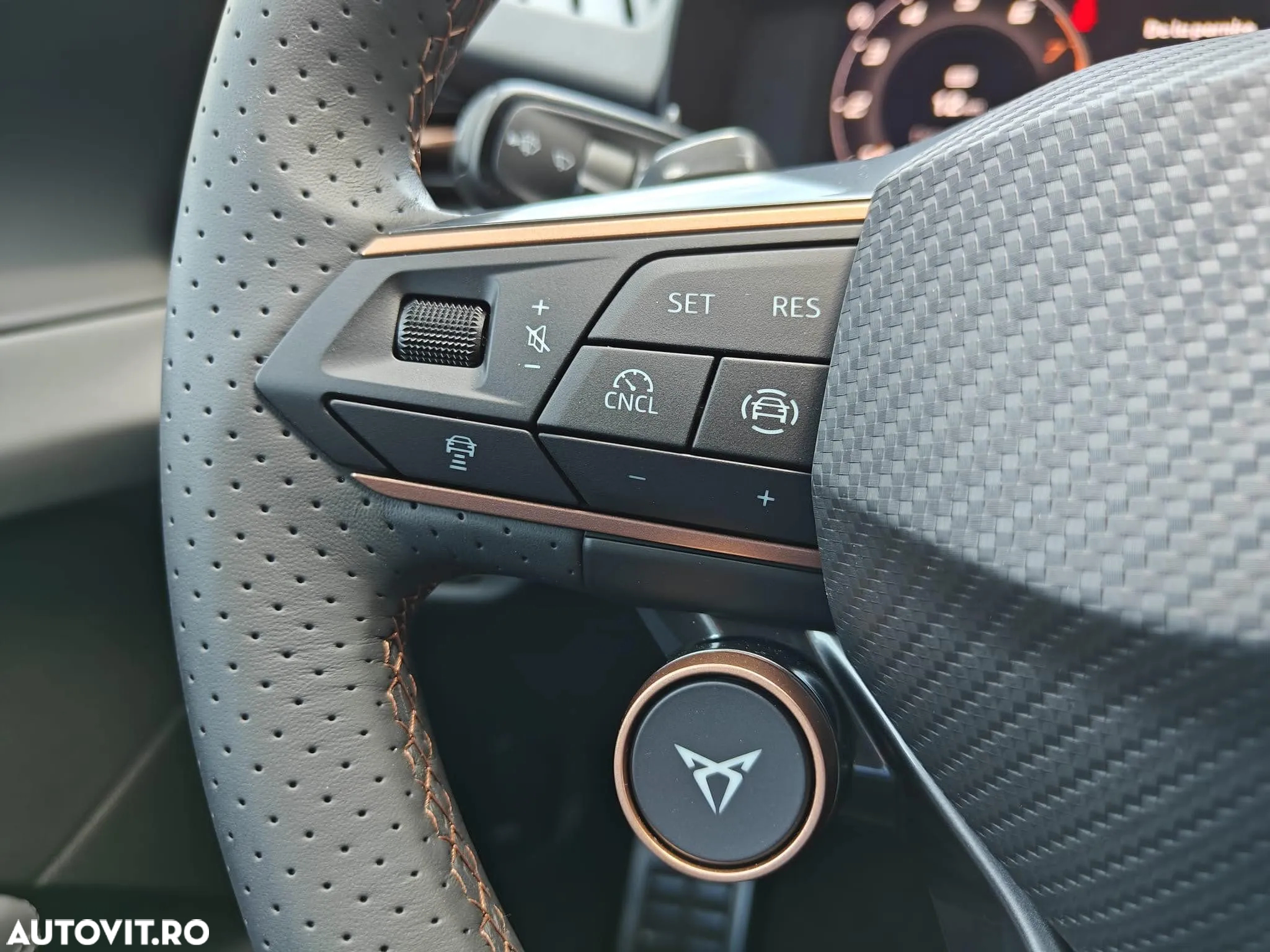 Cupra Terramar - 13