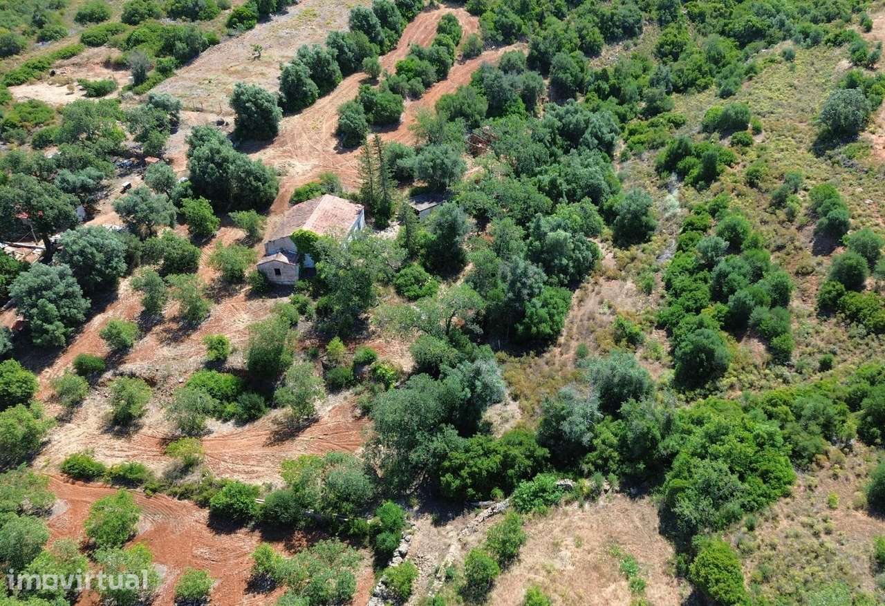 TERRENO COM RUÍNA, VALE DE MARGEM, PÊRA, SILVES - Grande imagem: 3/36