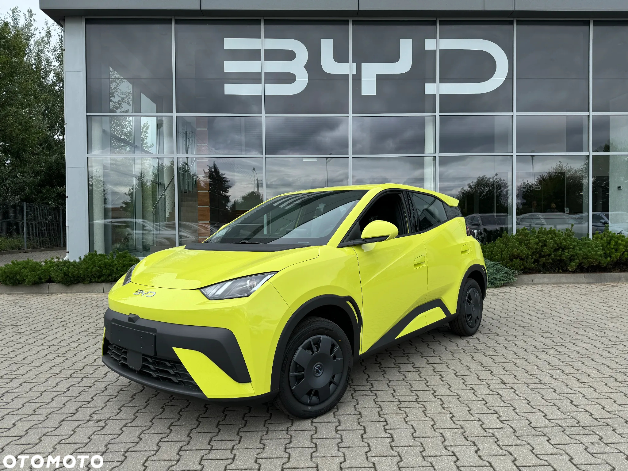 BYD Dolphin Surf - 4