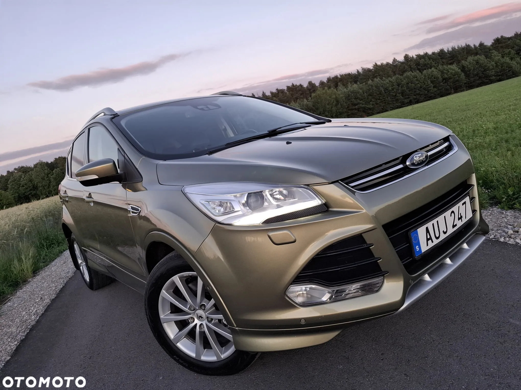 Ford Kuga 2.0 TDCi 4WD Titanium - 2