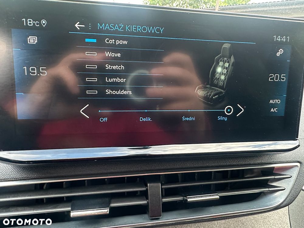 Peugeot 3008 1.5 BlueHDi GT S&S EAT8 - 13