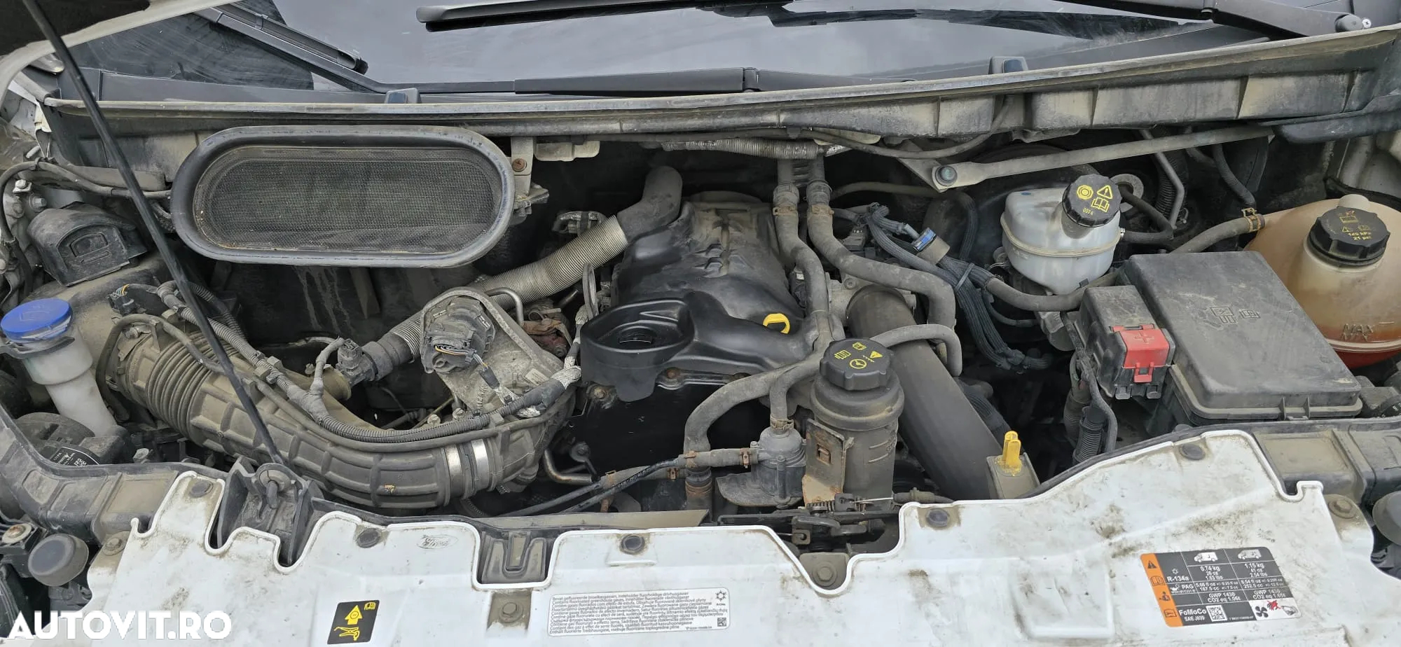 Ford Transit - 9