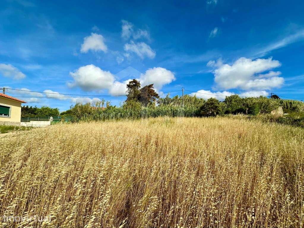 Vende Terreno - Ericeira 4,2 km, A Casa das Casas - Grande imagem: 3/15