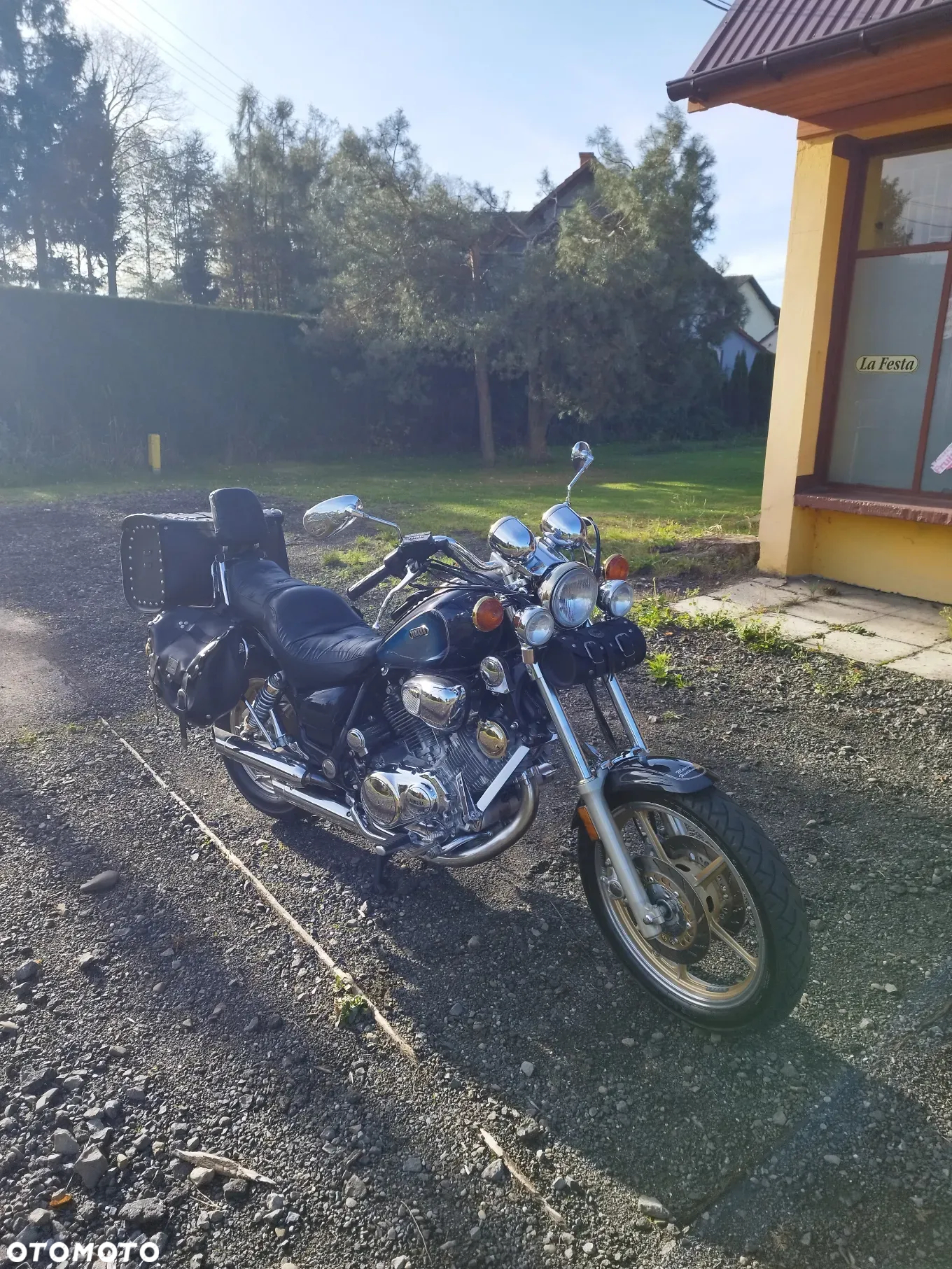 Yamaha Virago - 3