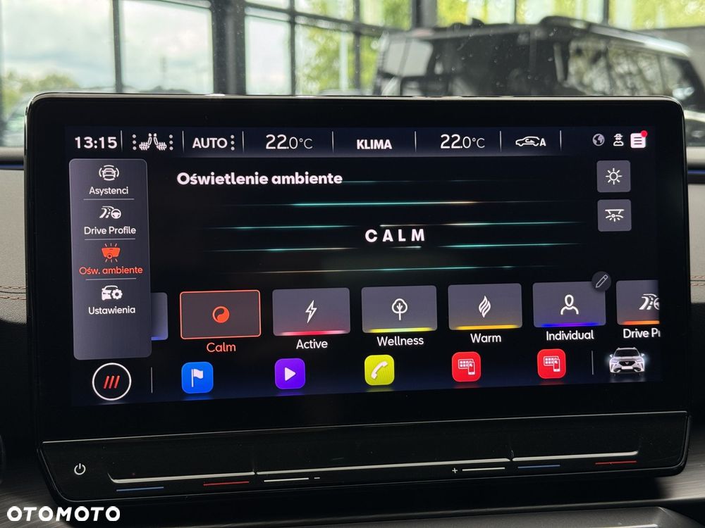 Cupra Formentor 2.0 TSI 4Drive VZ DSG - 30
