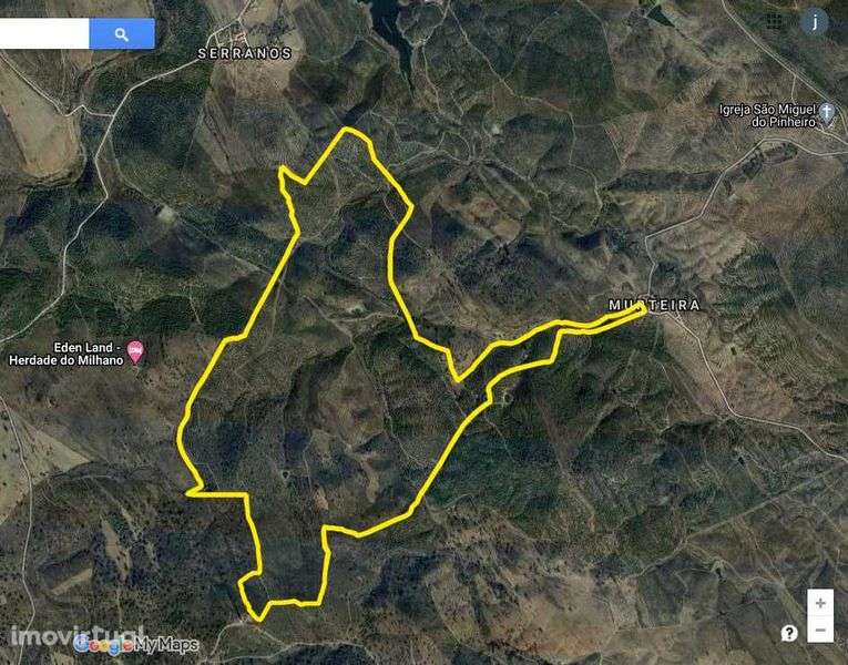 Terreno rústico 136 ha - Grande imagem: 3/8