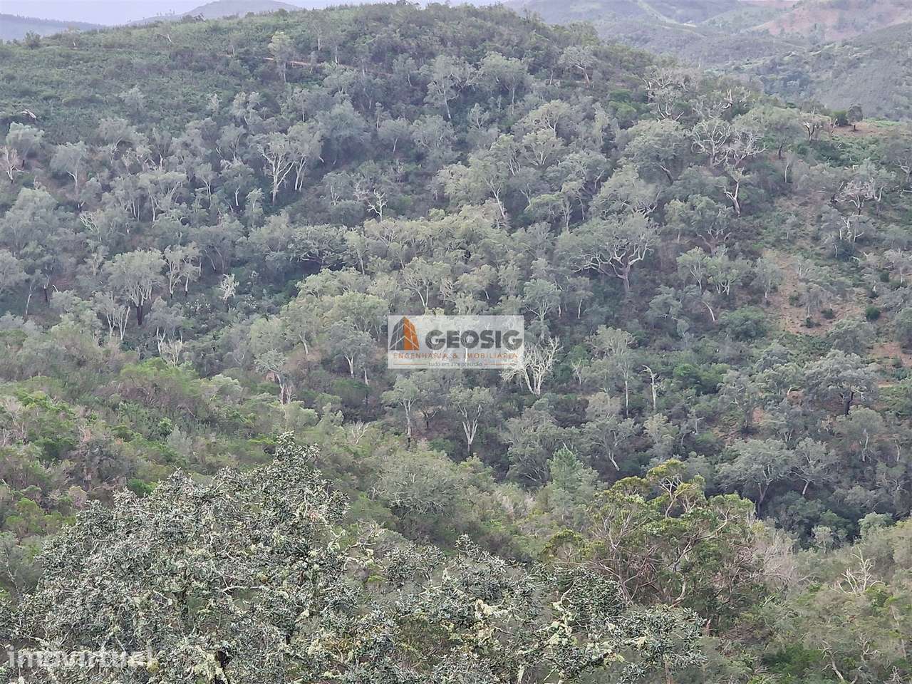 Terreno Rústico  Venda em Santana da Serra,Ourique - Grande imagem: 4/8
