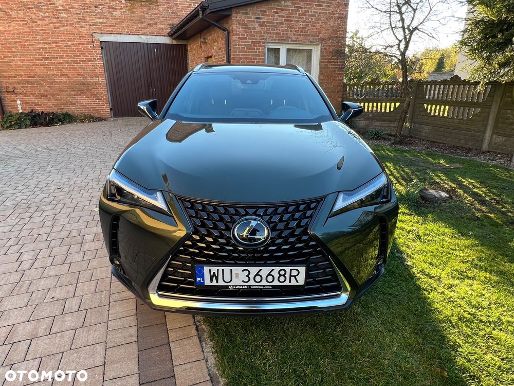 Lexus UX 250h GPF Business Edition 2WD - 15