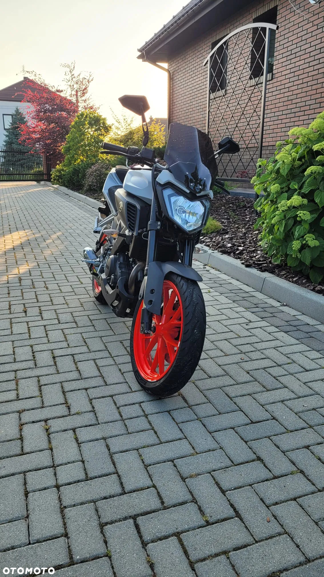 Yamaha MT - 3