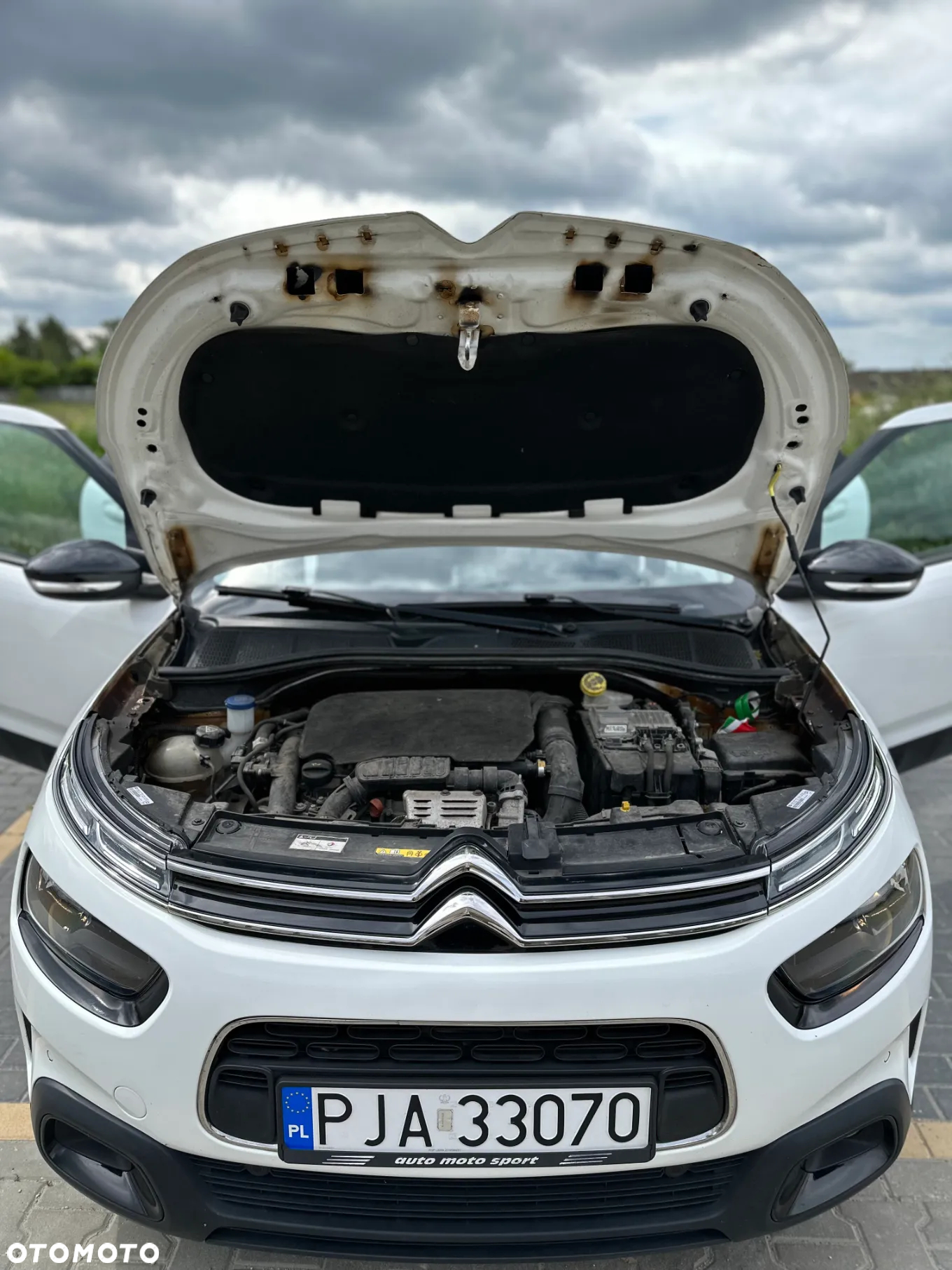 Citroën C4 Cactus 1.2 PureTech Shine Edition S&S - 20