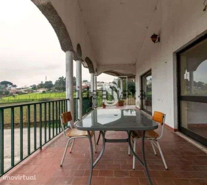 Moradia Quinta Terreno Adegas - Grande imagem: 3/8