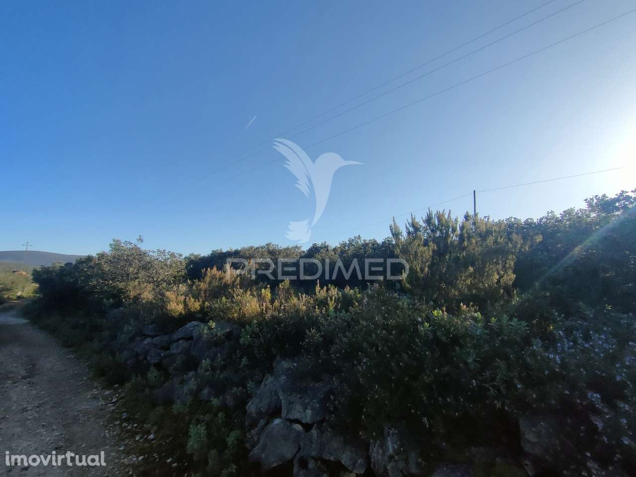 Terreno Rústico - Monsanto, Alcanena - Grande imagem: 3/14