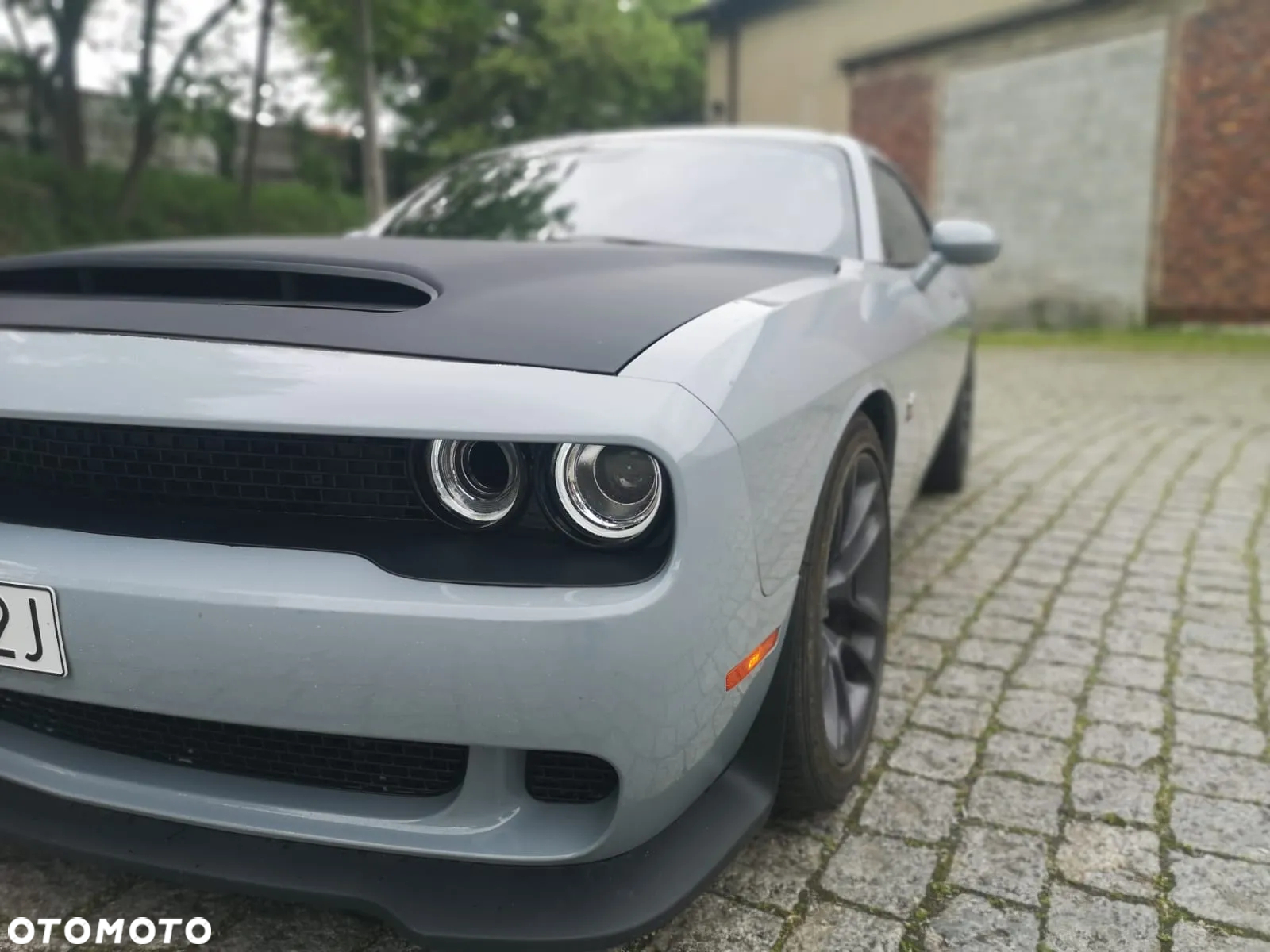 Dodge Challenger - 29