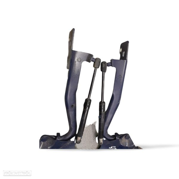 Dobradiça / Dobradiças Capot Renault Scénic Iii (Jz0/1_) - 2
