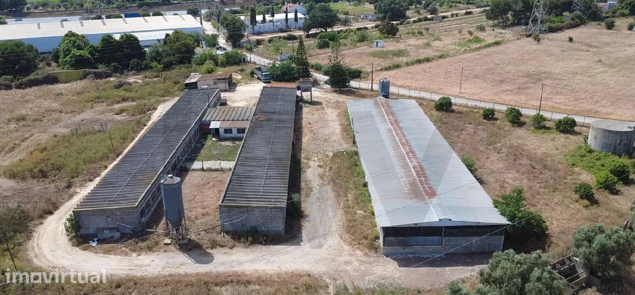 Exploração Agropecuária Licenciada com 1,88 ha – Palmela (Vale de Cant - Grande imagem: 2/22