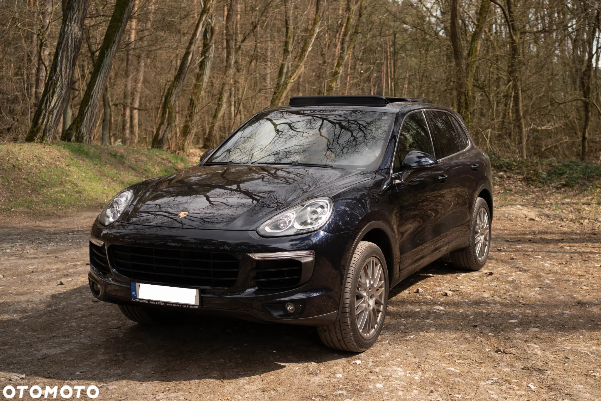 Porsche Cayenne Platinum Edition - 7