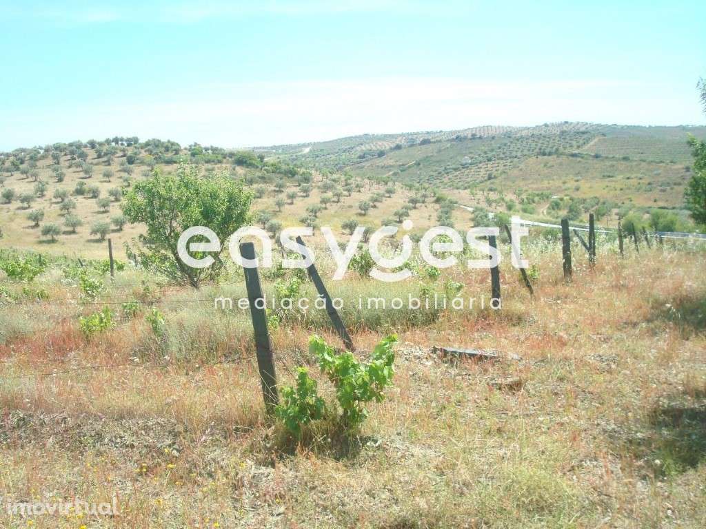 Terreno agrícola de 1,5 hectares em Almendra - Grande imagem: 2/10