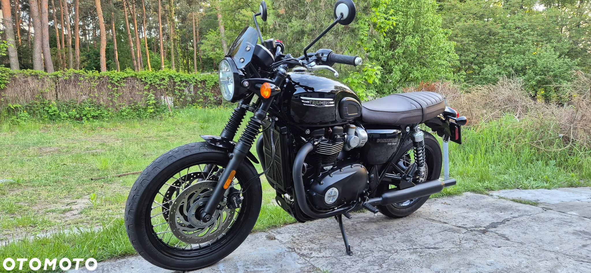 Triumph Bonneville - 18