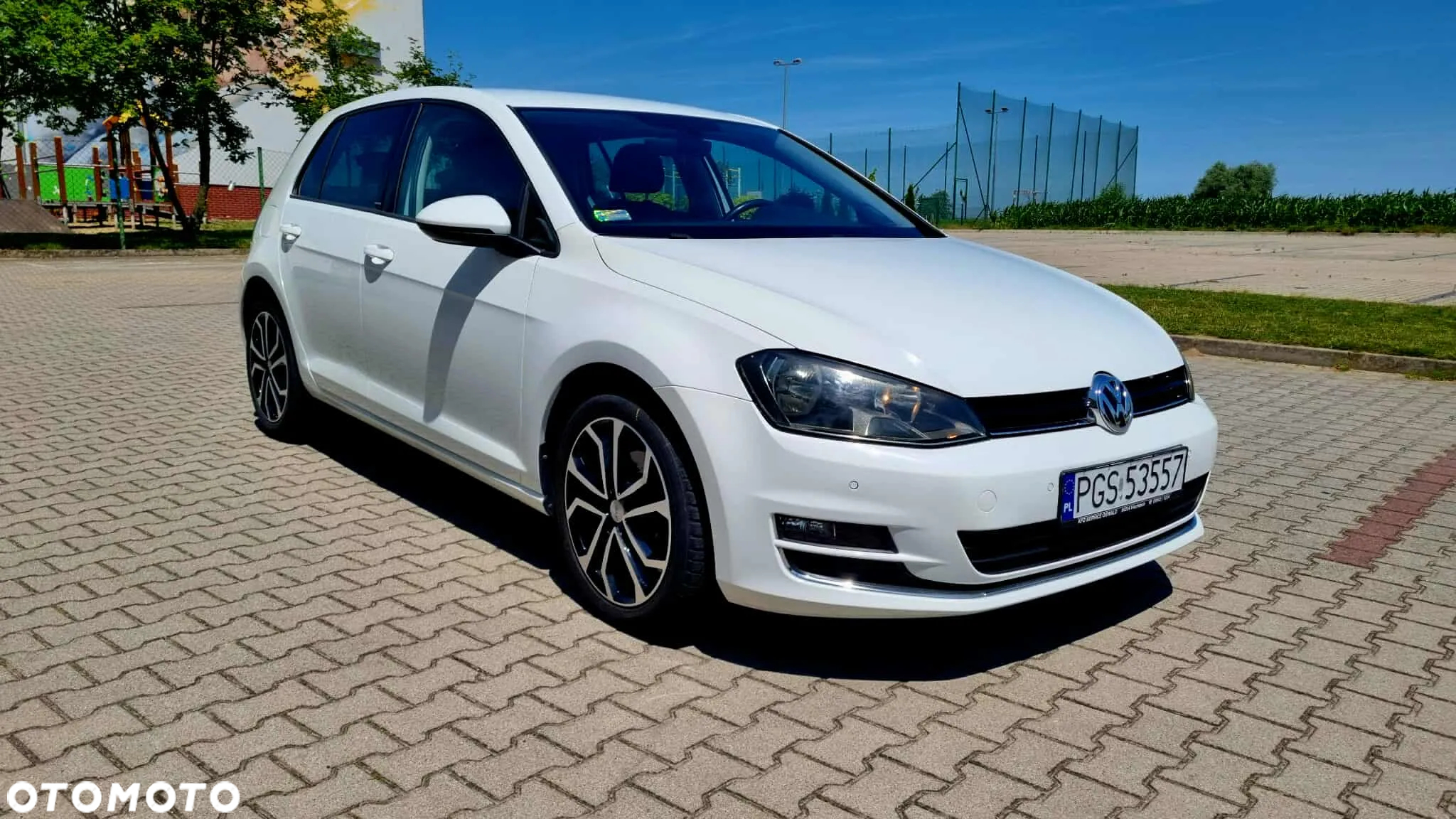 Volkswagen Golf 1.6 TDI BlueMotion Technology DSG Allstar - 8