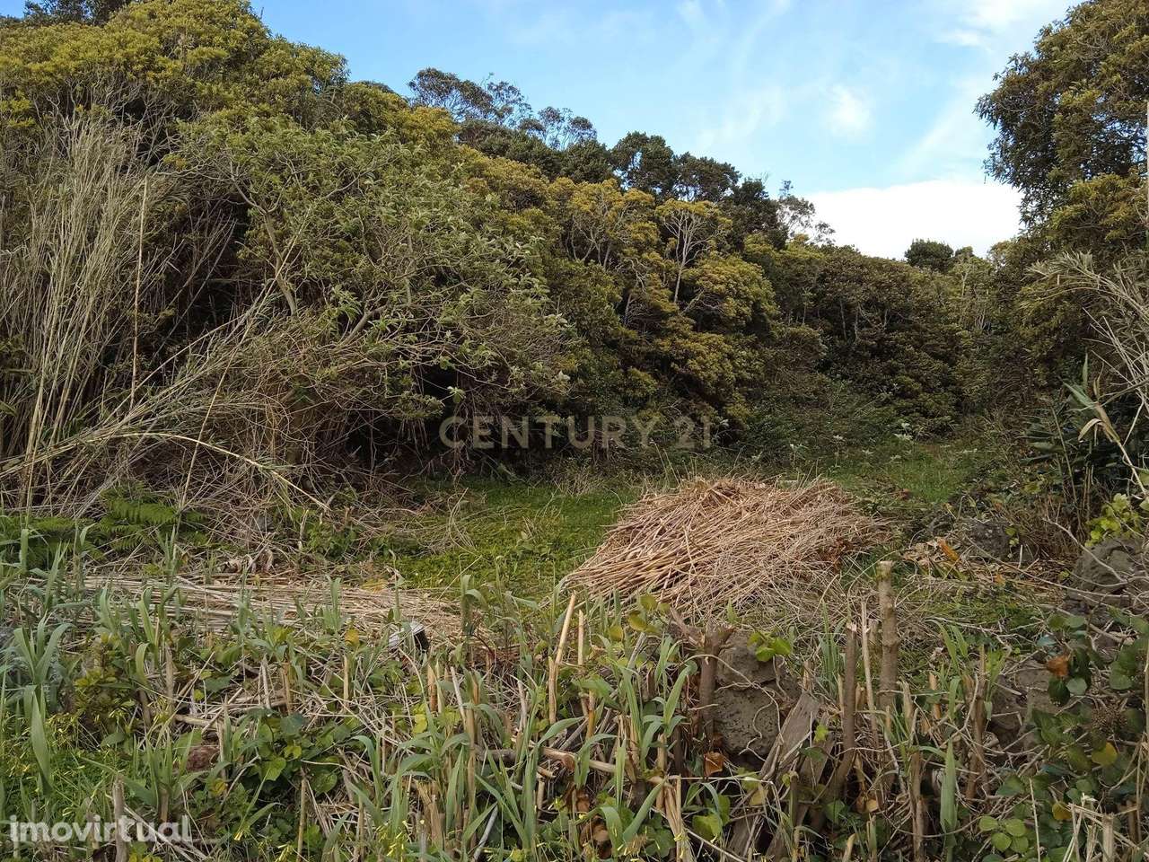 Terreno rústico na Vila de São Sebastião. - Grande imagem: 2/3