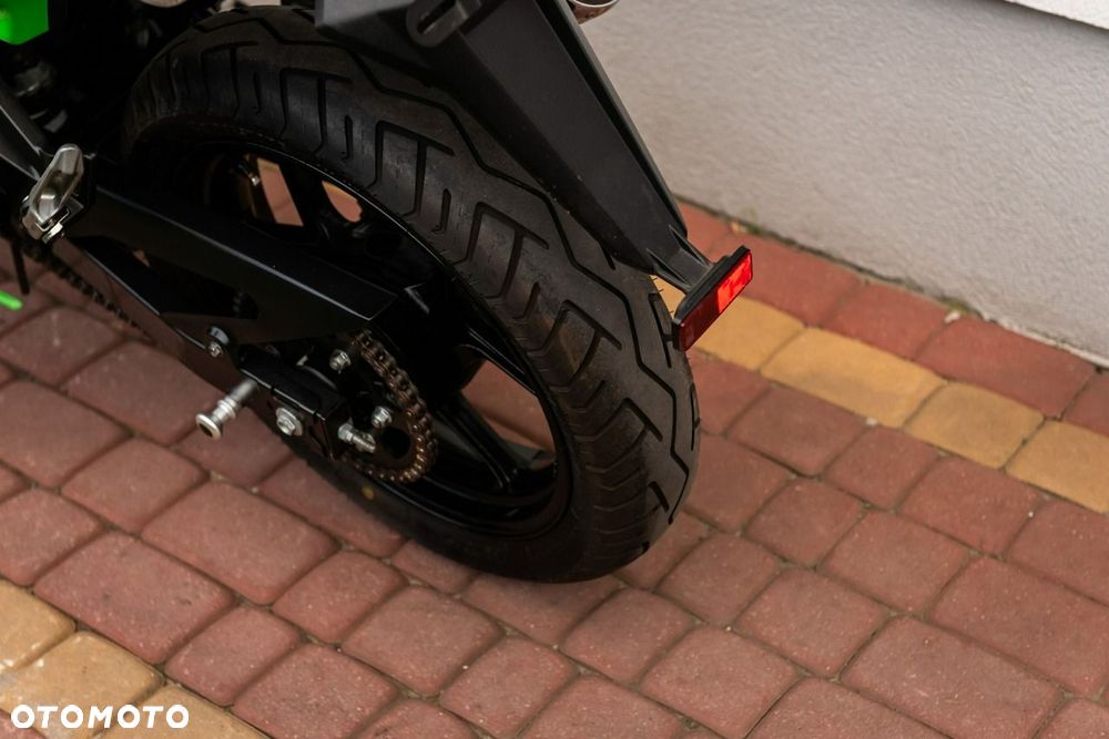 Kawasaki Ninja - 10