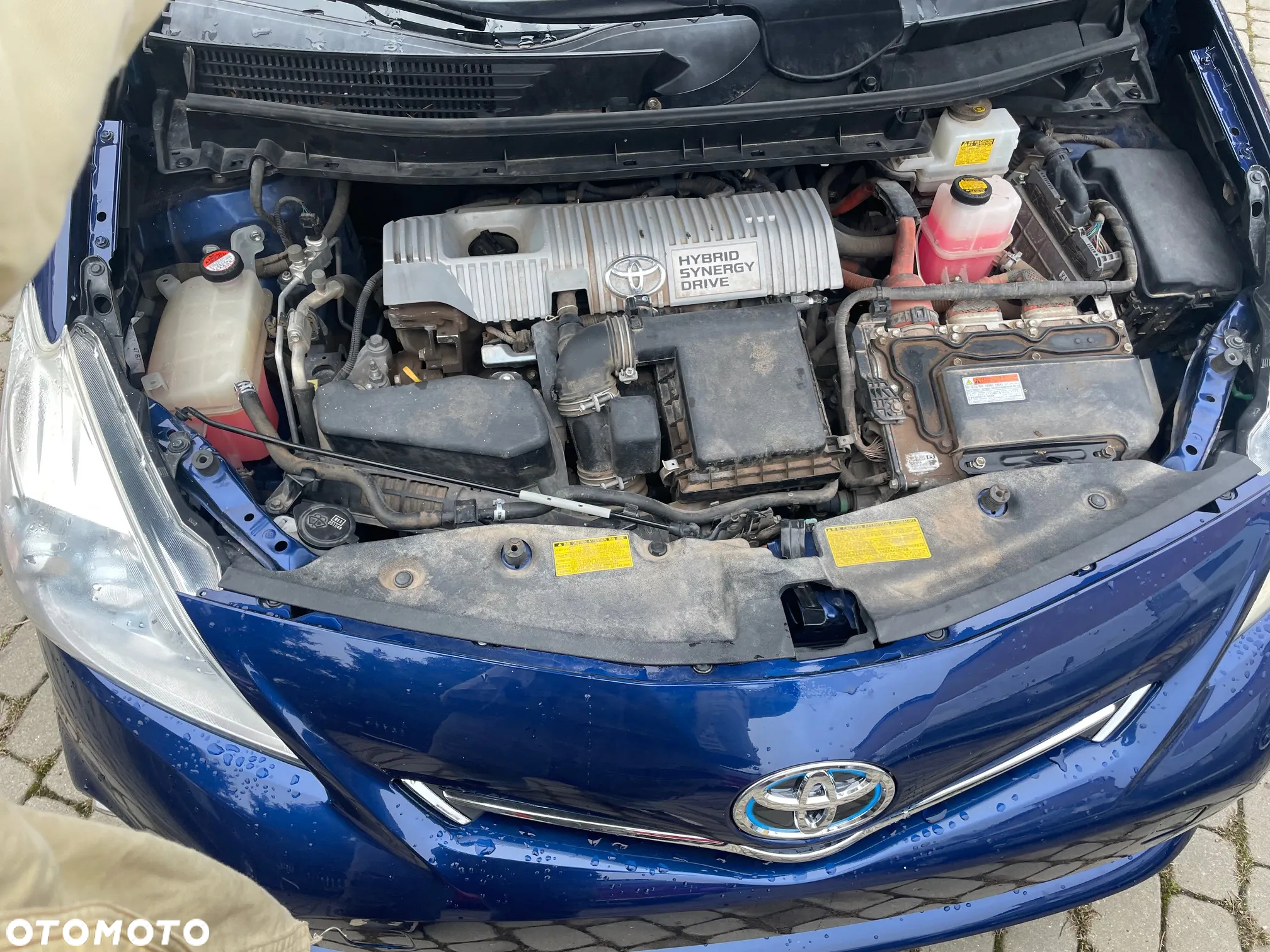 Toyota Prius+ (Hybrid) Executive - 19