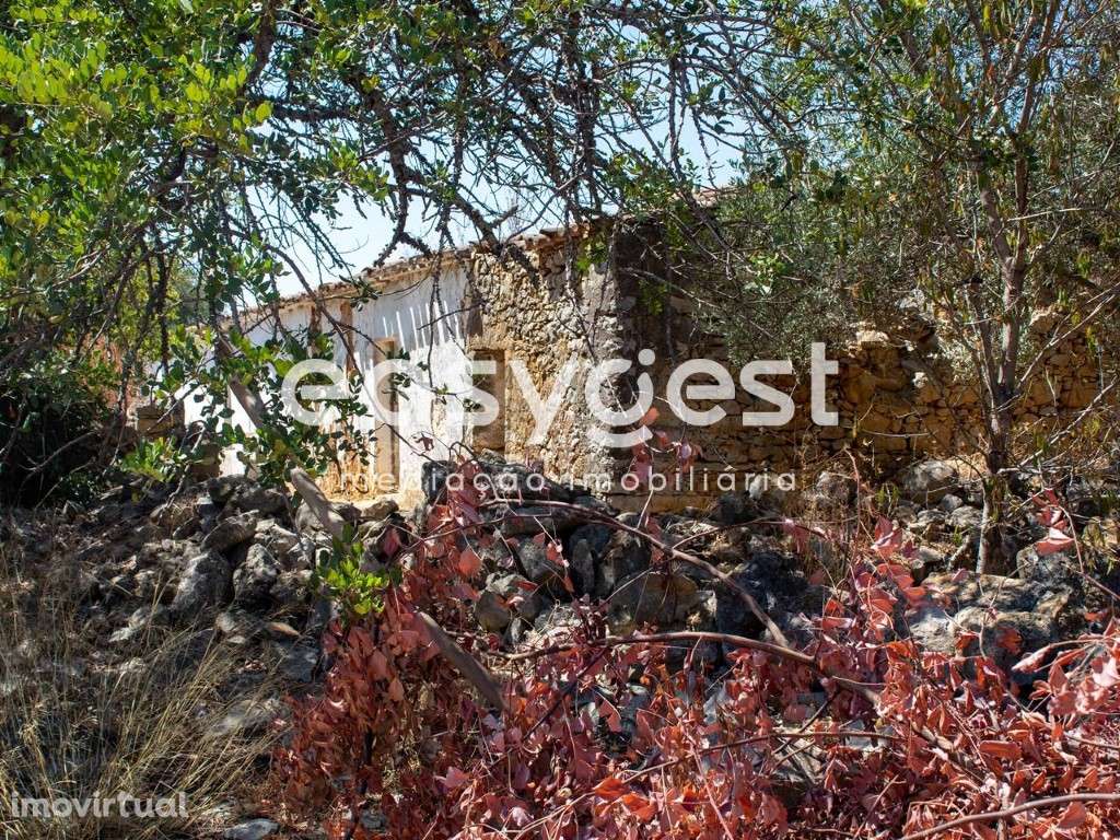 Terreno misto com ruina localizado em sitio do Pereiro-Moncarapacho - Grande imagem: 2/17