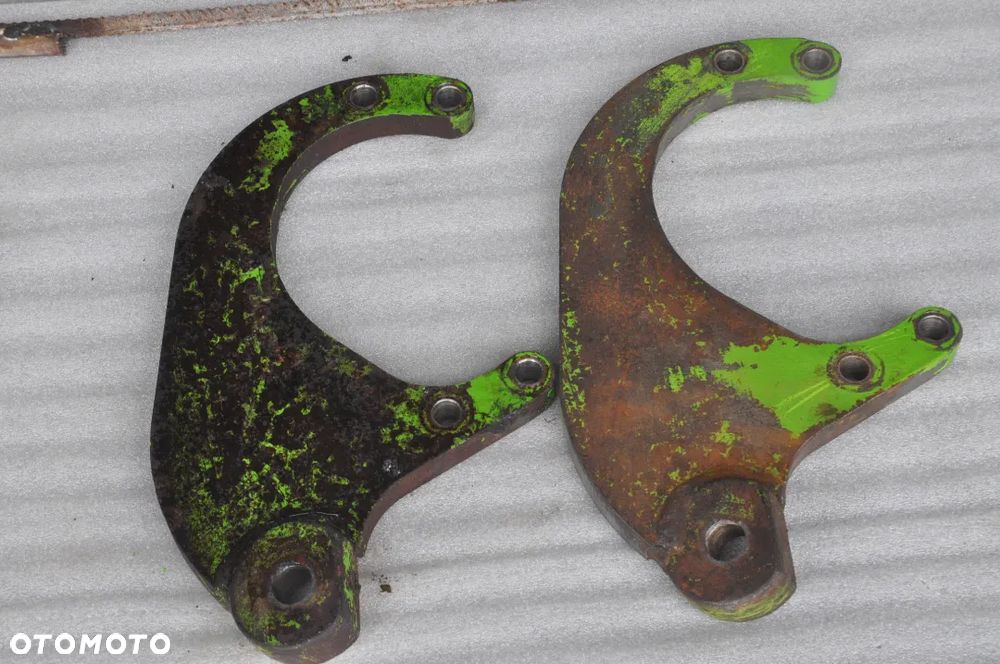 WĄS ZWROTNICY MERLO