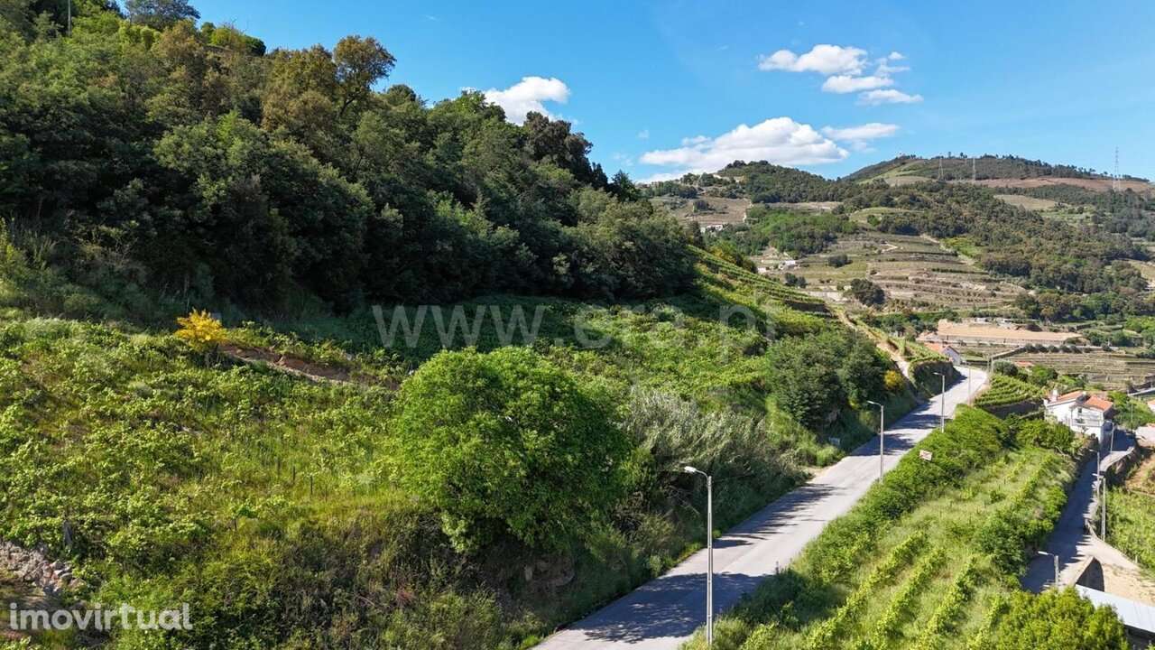 Terreno / Mesão Frio, Barqueiros - Grande imagem: 4/20