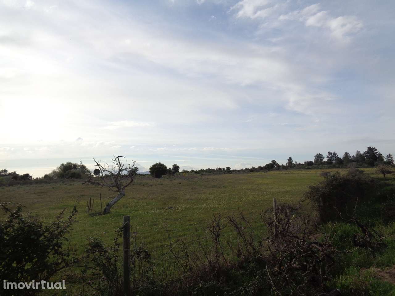 Anúncio Century 21 Portugal - Grande imagem: 4/12