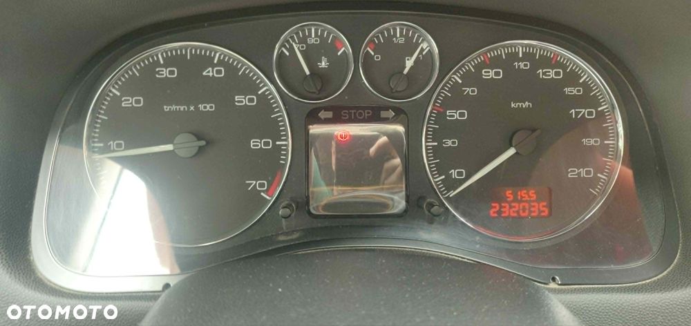 Peugeot 307 1.6 - 9
