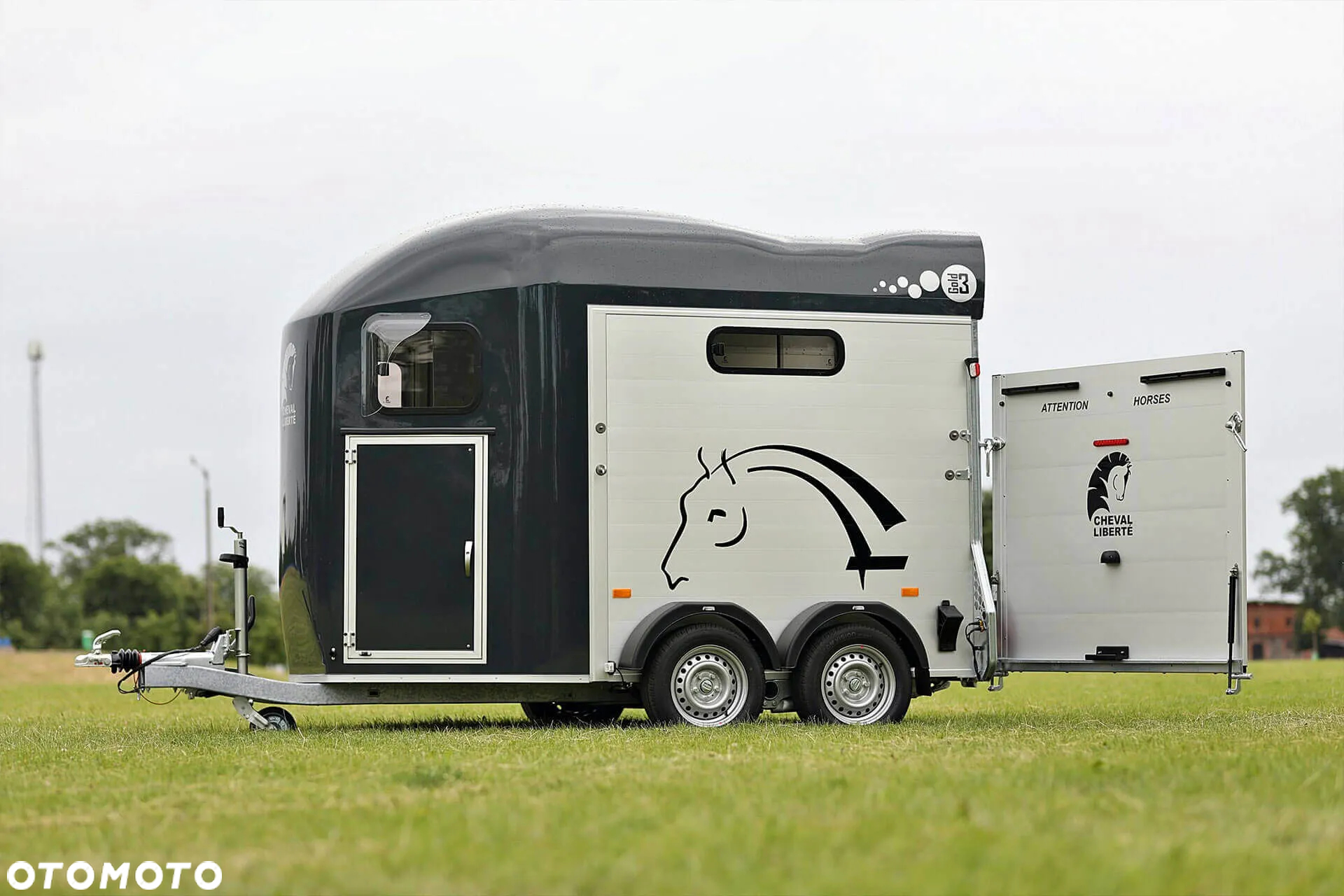 Cheval Liberte Gold III - 26